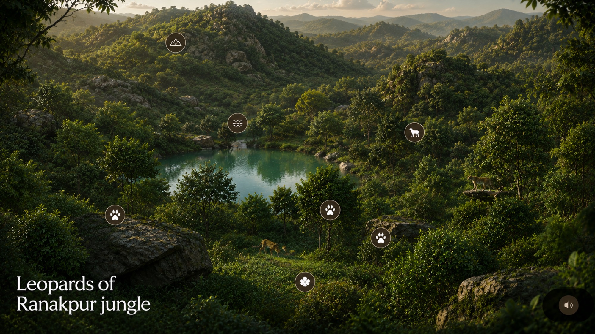 Aravalli hills and forest around Ranakpur, with sighting markers